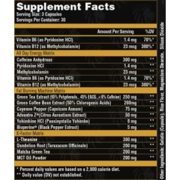 Alpha Shredder Alpha Lion Alpha Lion